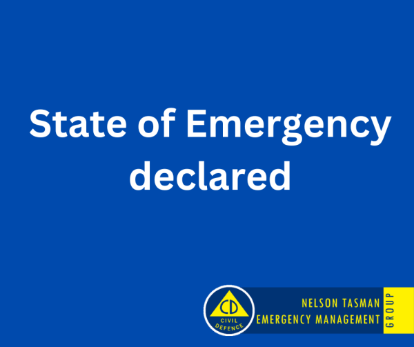 State of Emergency2